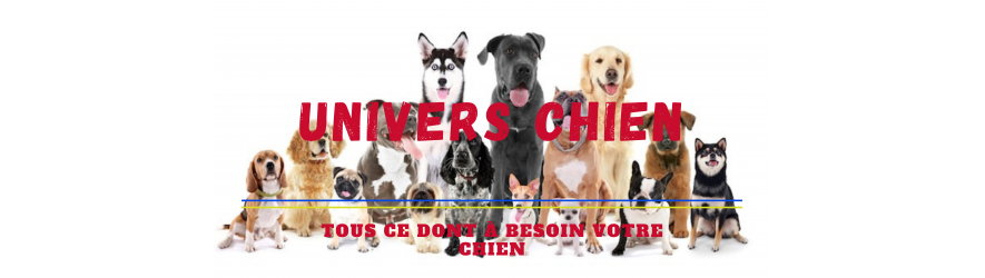 L'univers des chiens