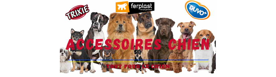 Accessoires pour chien