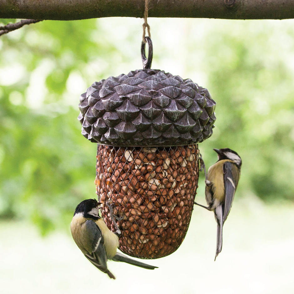 Duvo+ Mangeoire Transparente pour Cage à Oiseau